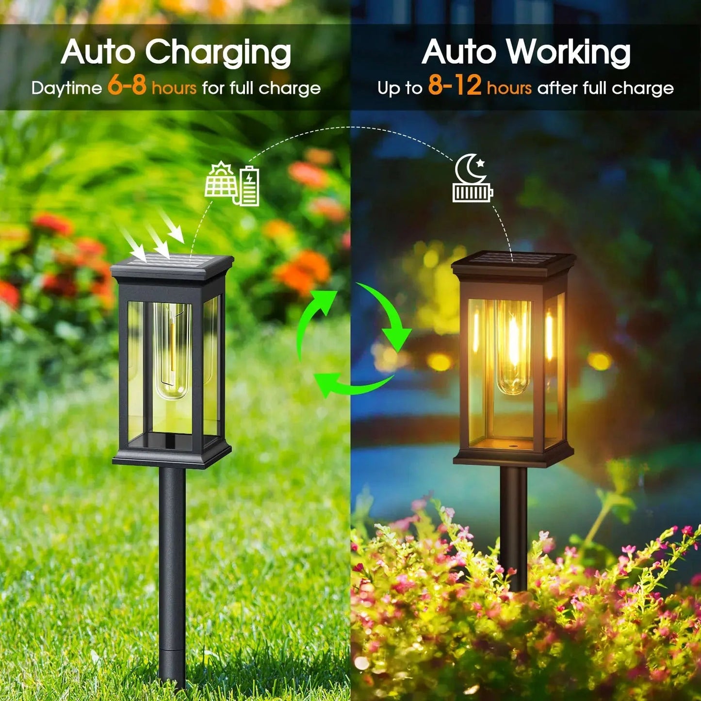 Lumina Solar Lights
