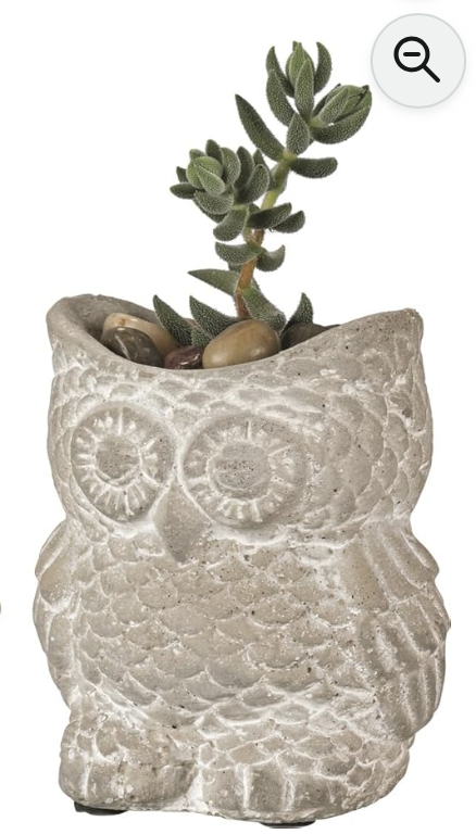 Cement Owl Planter – Indoor & Outdoor Garden Decor (Sold Separately)