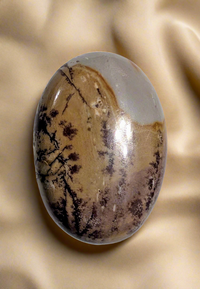 Sonoran Dendritic Cabochon Creation