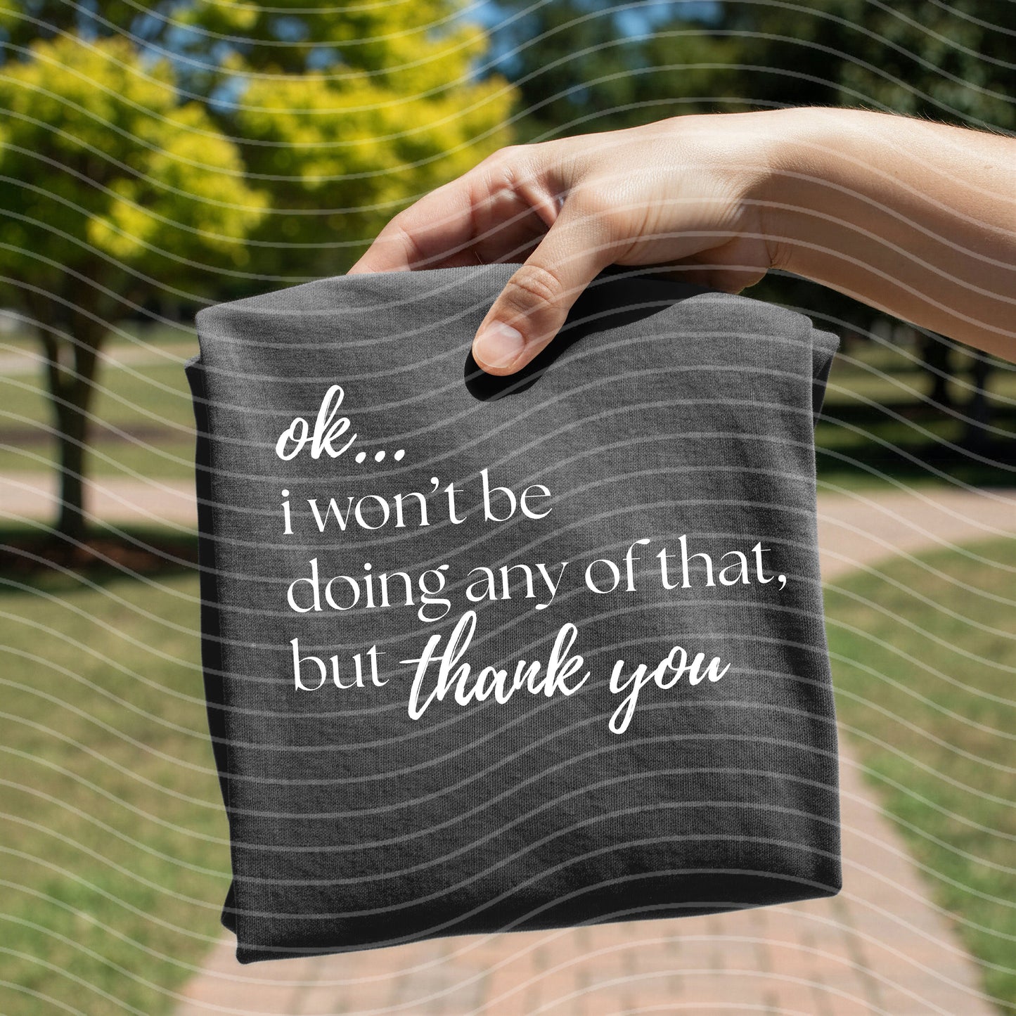 I Won't Be Doing Any of That Graphic Tee
