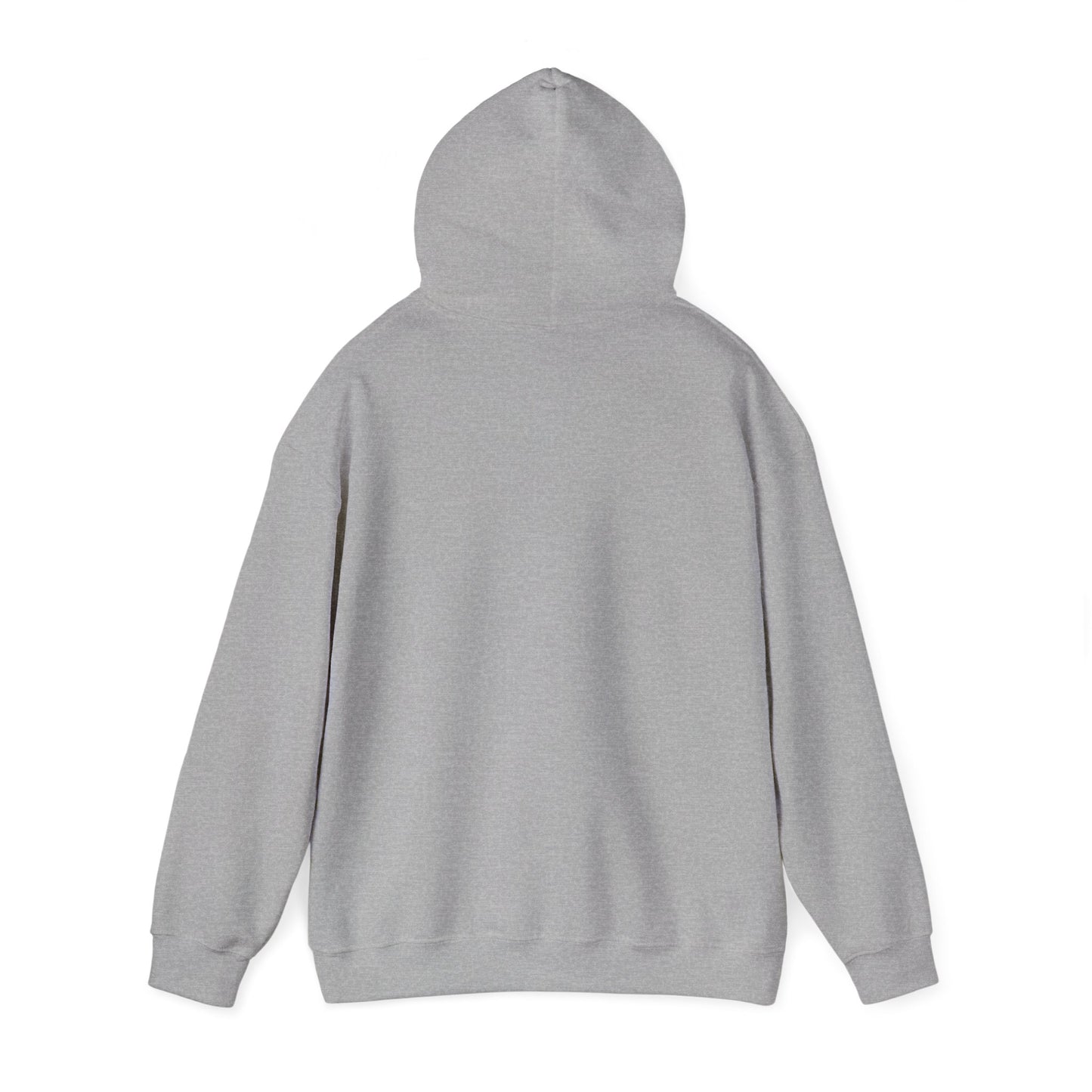 Let Your Dreams Be Your Wings Unisex Hooded Sweatshirt, Cozy Hoodie, Perfect Gift