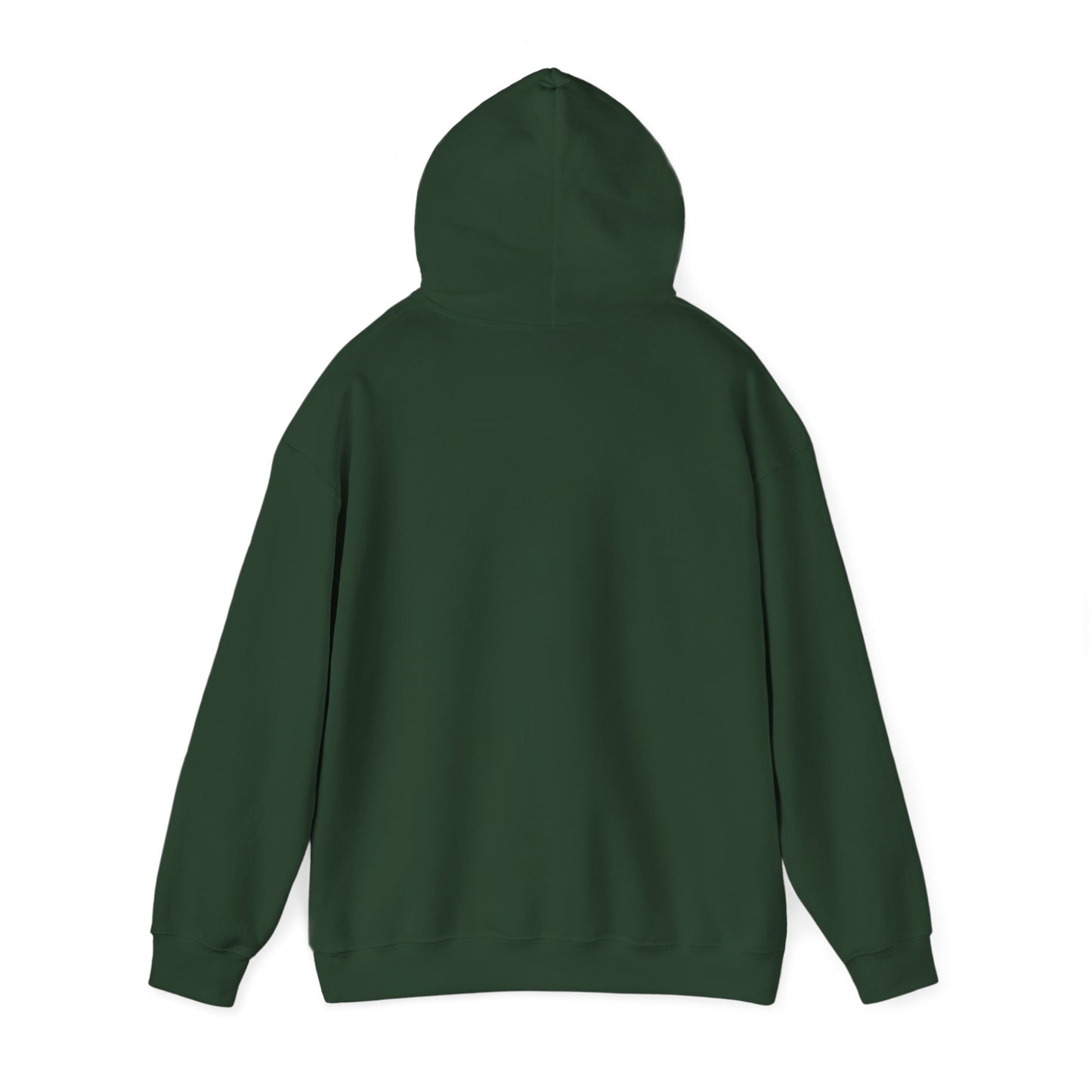 The Best Is Yet To Come Motivational Hoodie, Unisex Sweatshirt, Casual Comfort Wear, Gift for Teens, Inspirational Clothing, Everyday Hoodie