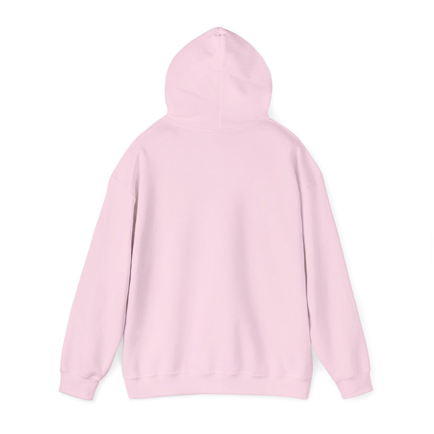 Chances You Don't Take Motivational Hoodie, Unisex Sweatshirt, Casual Comfort Wear, Gift for Teens, Inspirational Clothing, Everyday Hoodie