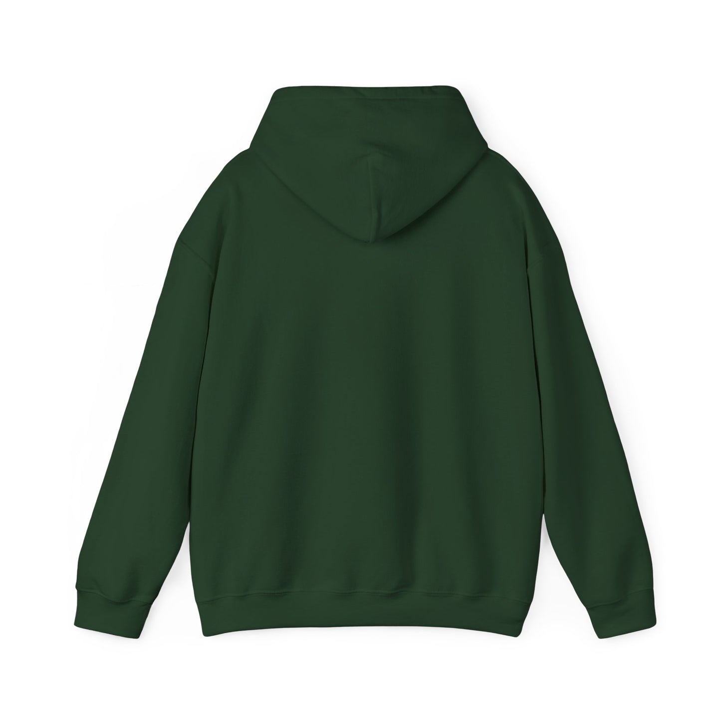 Positive Attitude Motivational Hoodie, Unisex Sweatshirt, Casual Comfort Wear, Gift for Teens, Inspirational Clothing, Everyday Hoodie