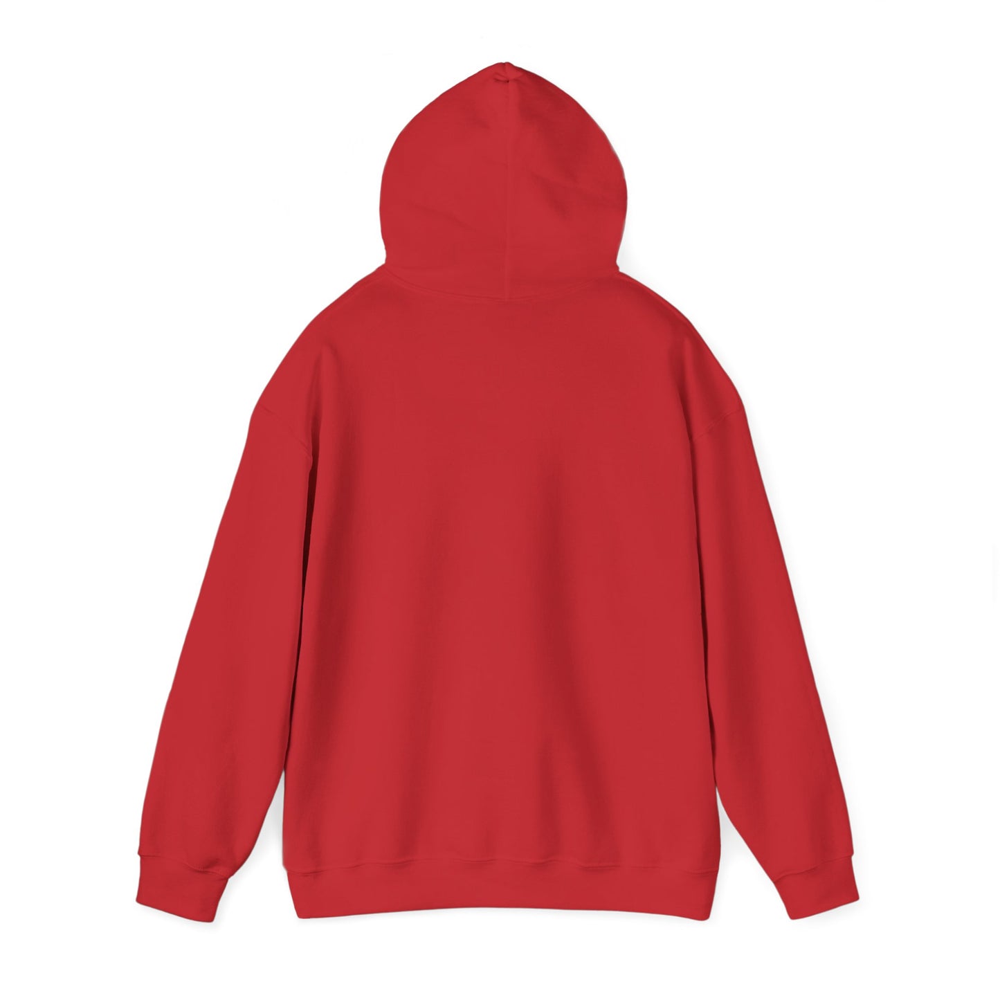 Chances You Don't Take Motivational Hoodie, Unisex Sweatshirt, Casual Comfort Wear, Gift for Teens, Inspirational Clothing, Everyday Hoodie