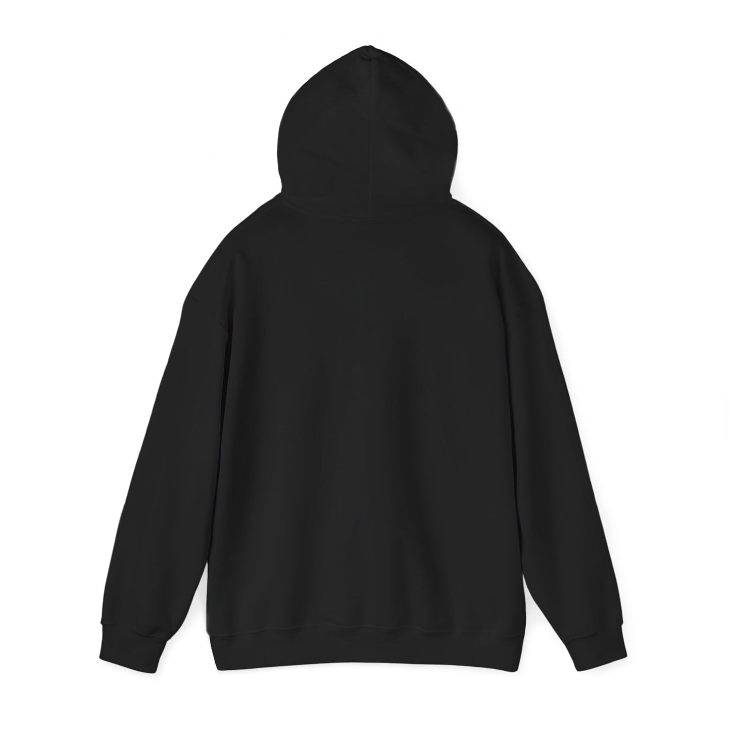 Positive Attitude Motivational Hoodie, Unisex Sweatshirt, Casual Comfort Wear, Gift for Teens, Inspirational Clothing, Everyday Hoodie