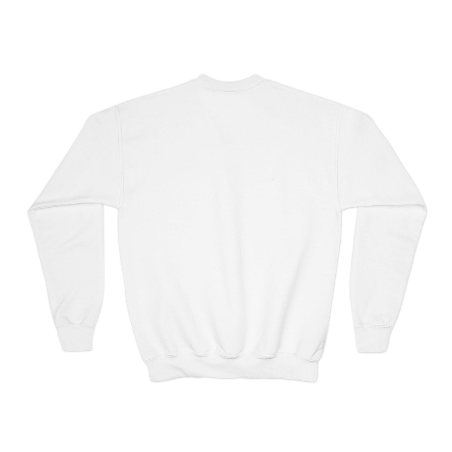 Charleston SC Youth Crewneck Sweatshirt, Cozy Kids Sweater, Gift for Young Explorers, Summer Vibes, Travel Apparel