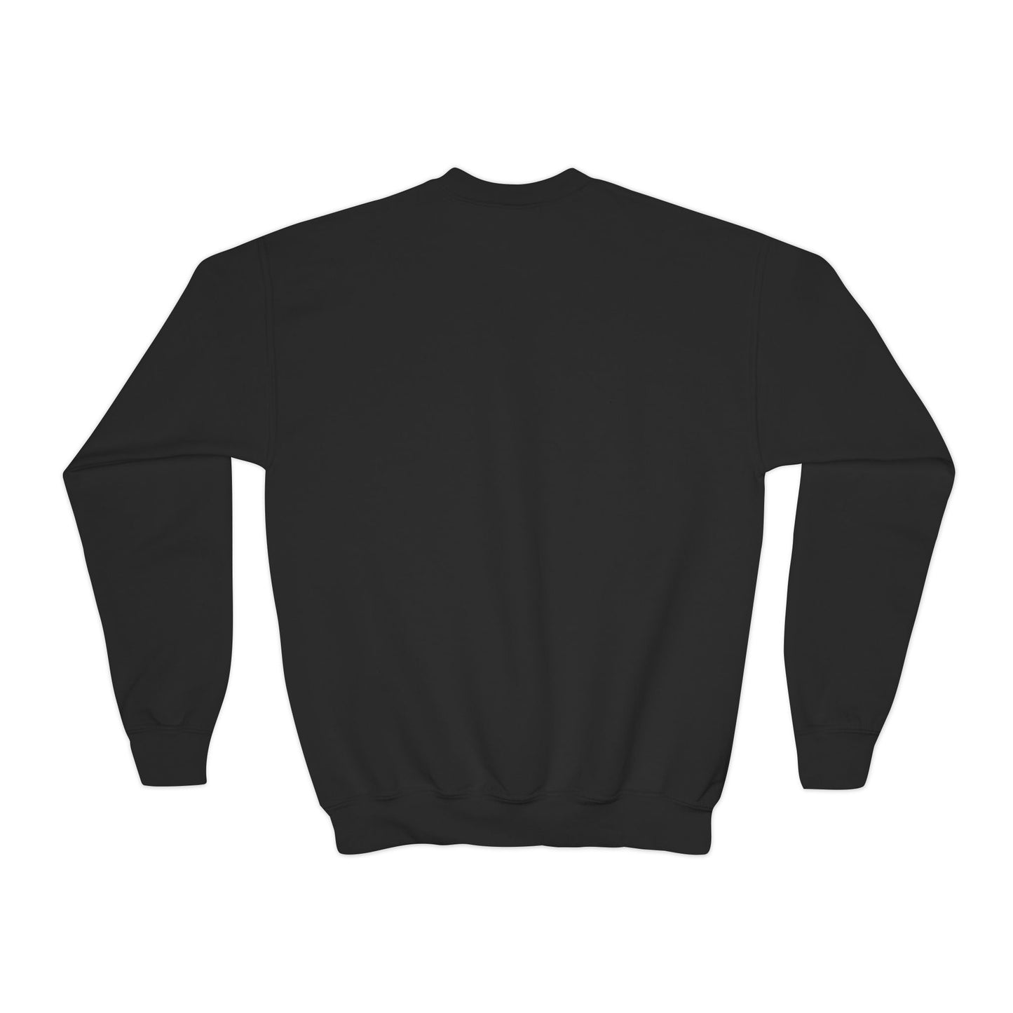 The Best Is Yet To Come Empowering Youth Crewneck Sweatshirt, Inspirational Apparel, Affirmation Gift, Motivational Sweatshirt, Positive Vibes Clothing