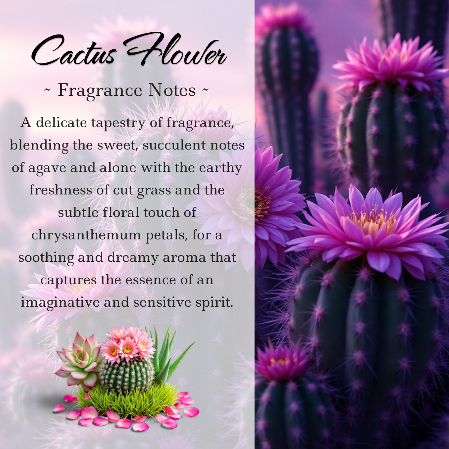 Pisces Zodiac Crystal-Enhanced Reed Oil Diffuser, Cactus Flower & Jade Scent, 100ml