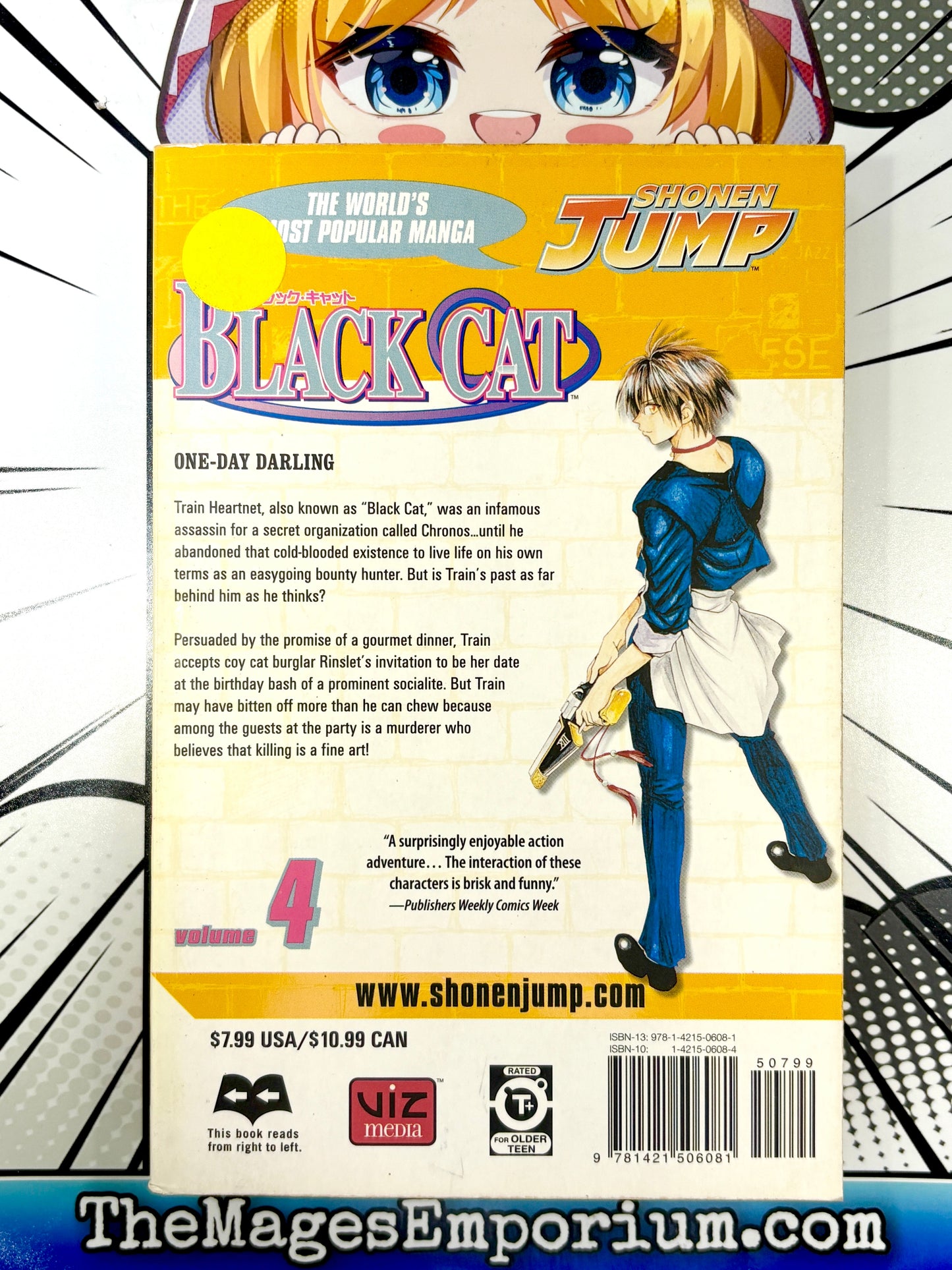 Black Cat Vol 4