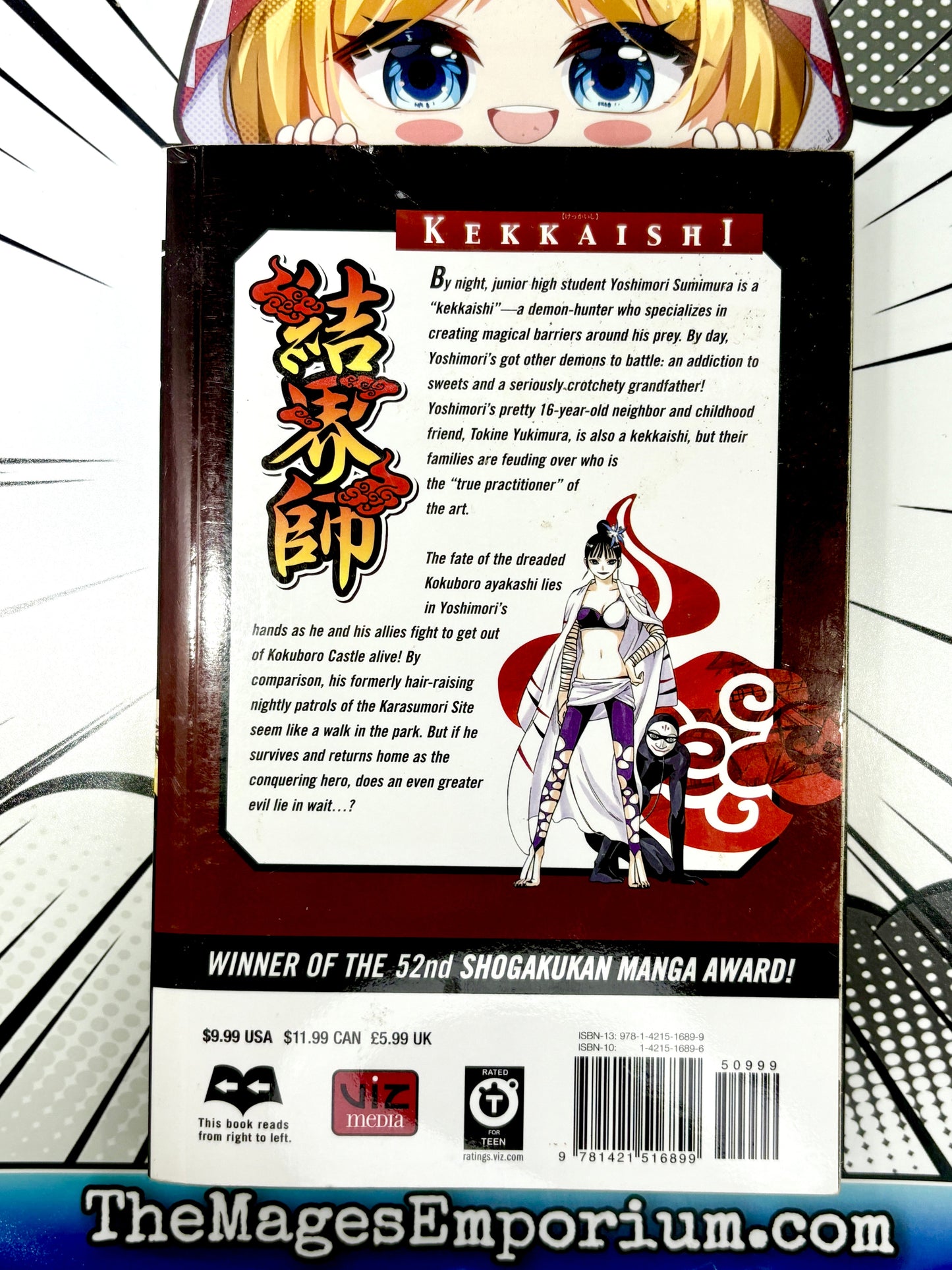 Kekkaishi Vol 13