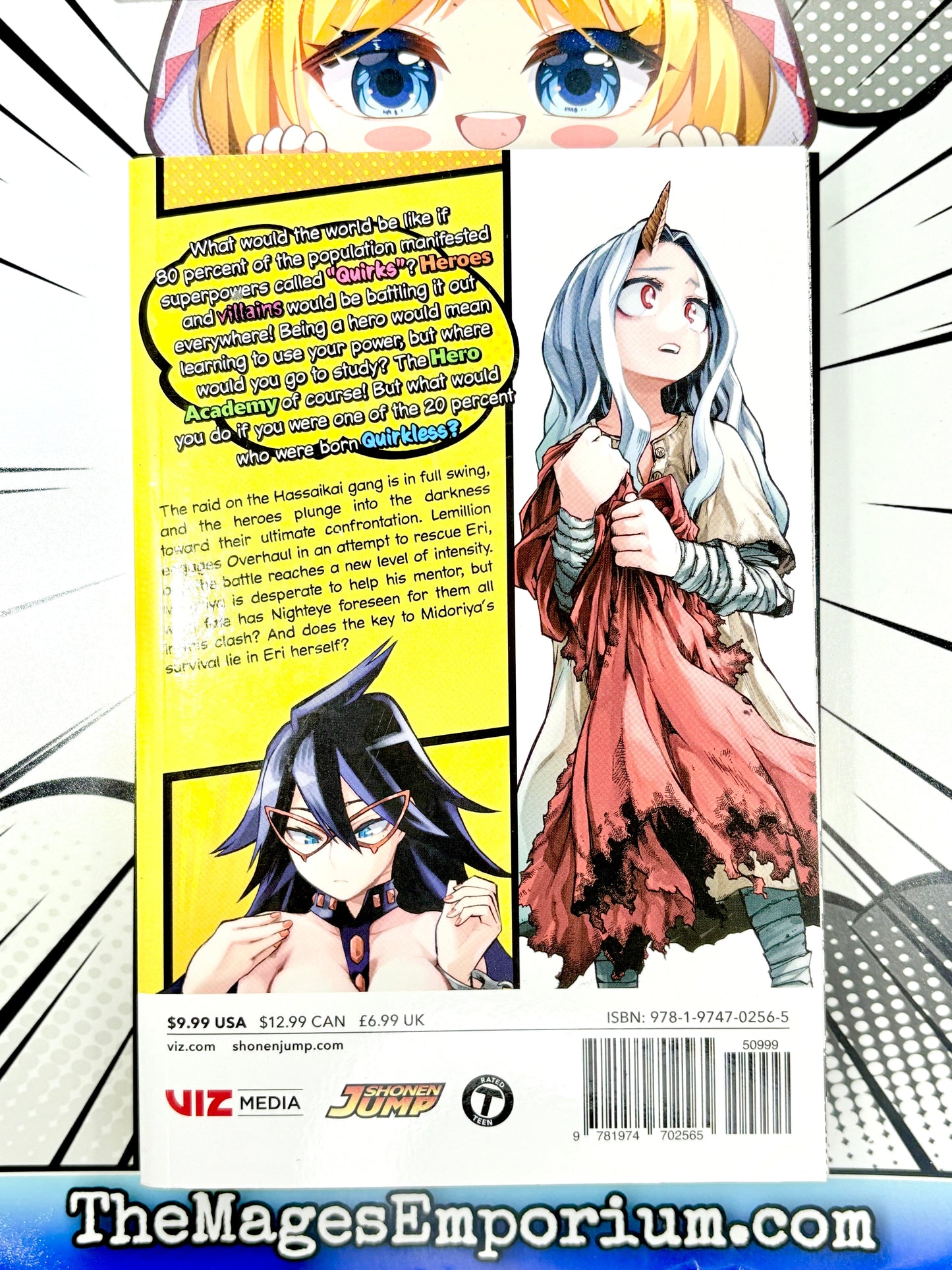 My Hero Academia Vol 17