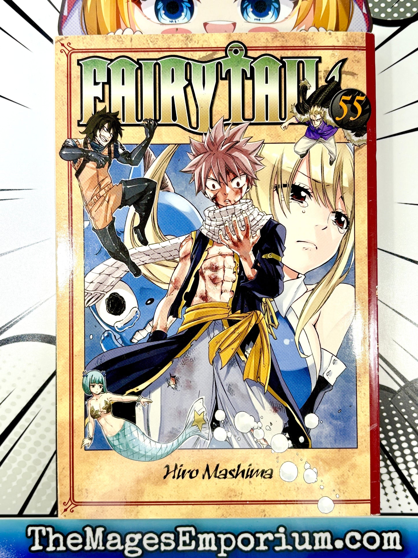 Fairy Tail Vol 55