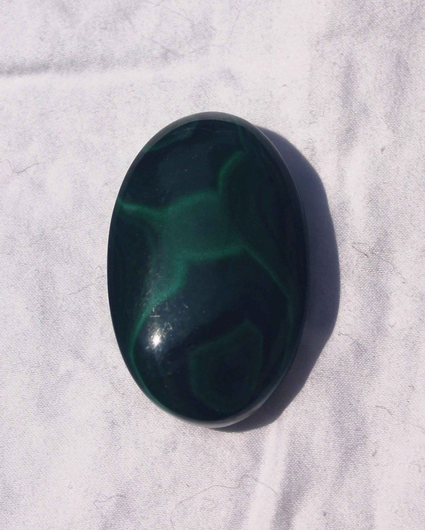 Malachite Palm