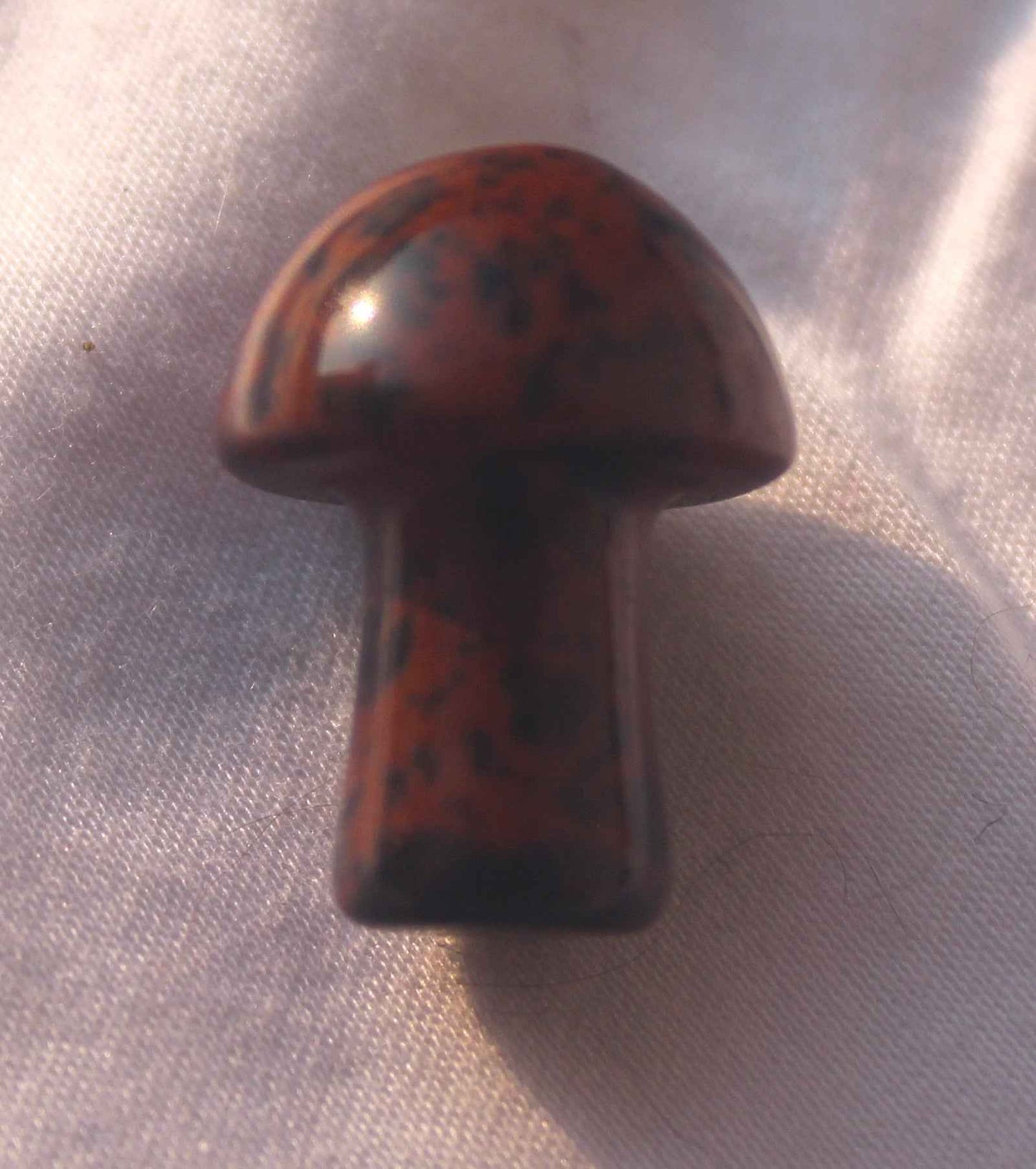 Mini Mushrooms