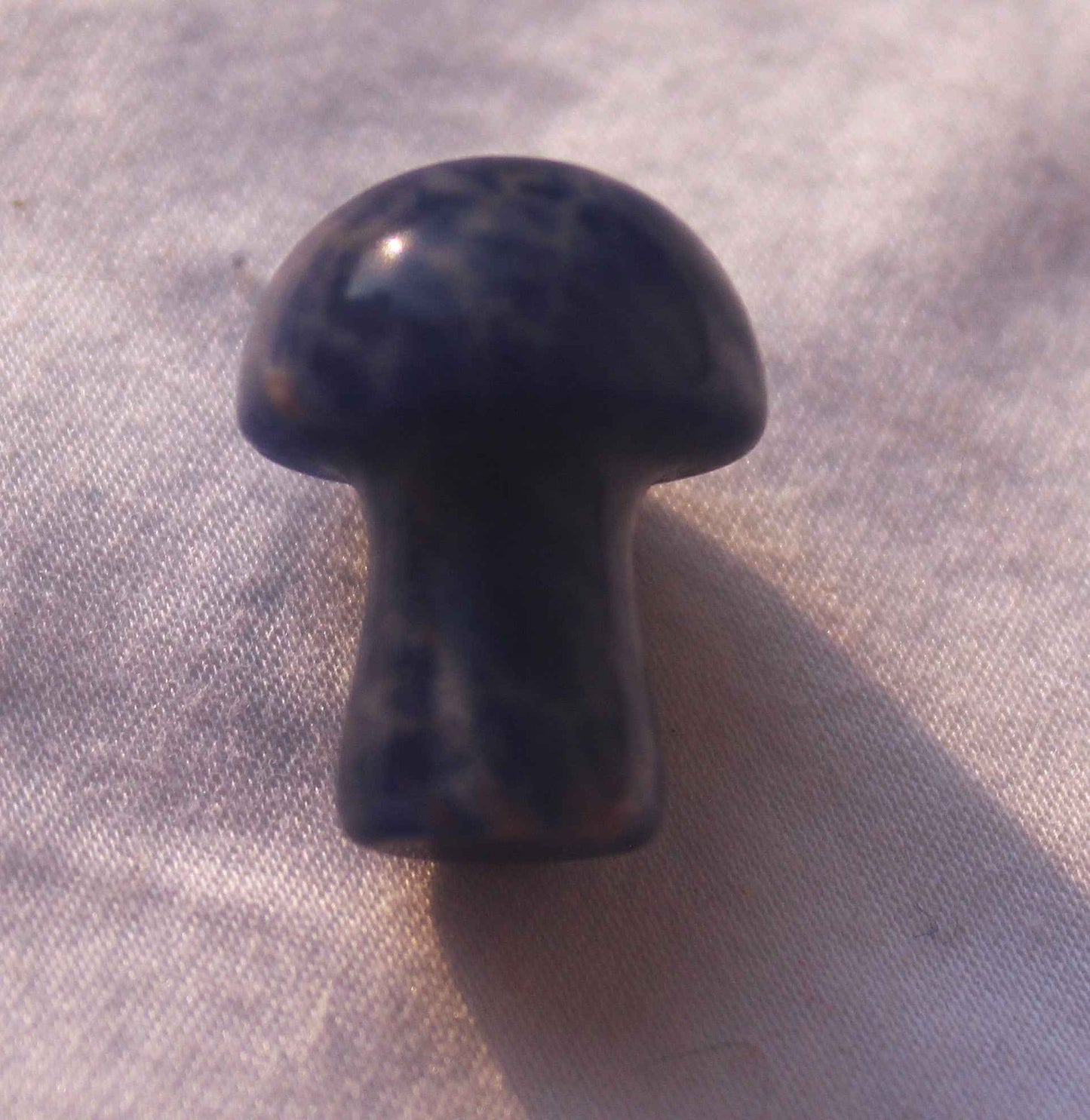 Mini Mushrooms