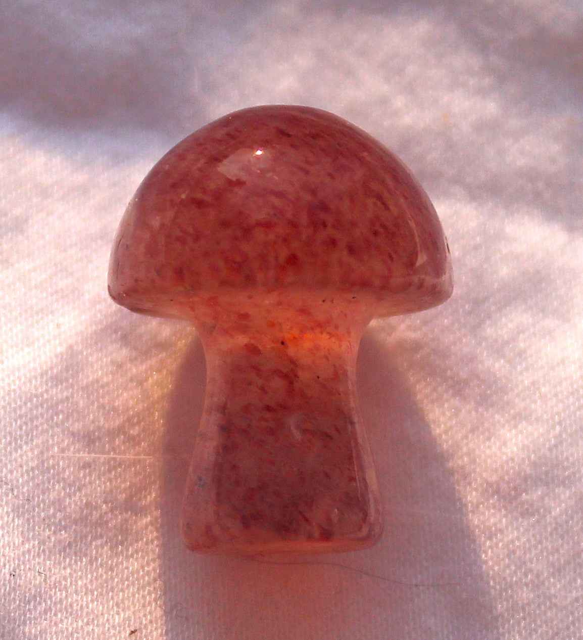 Mini Mushrooms