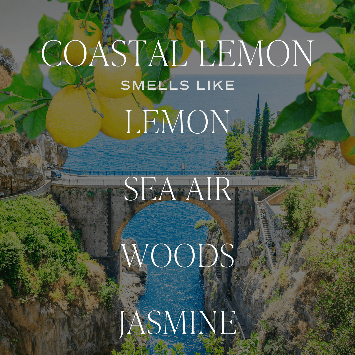 Coastal Lemon Candle