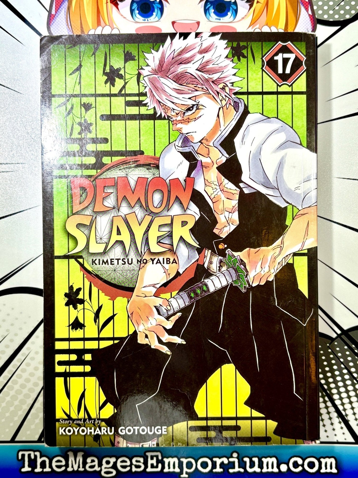 Demon Slayer Vol 17