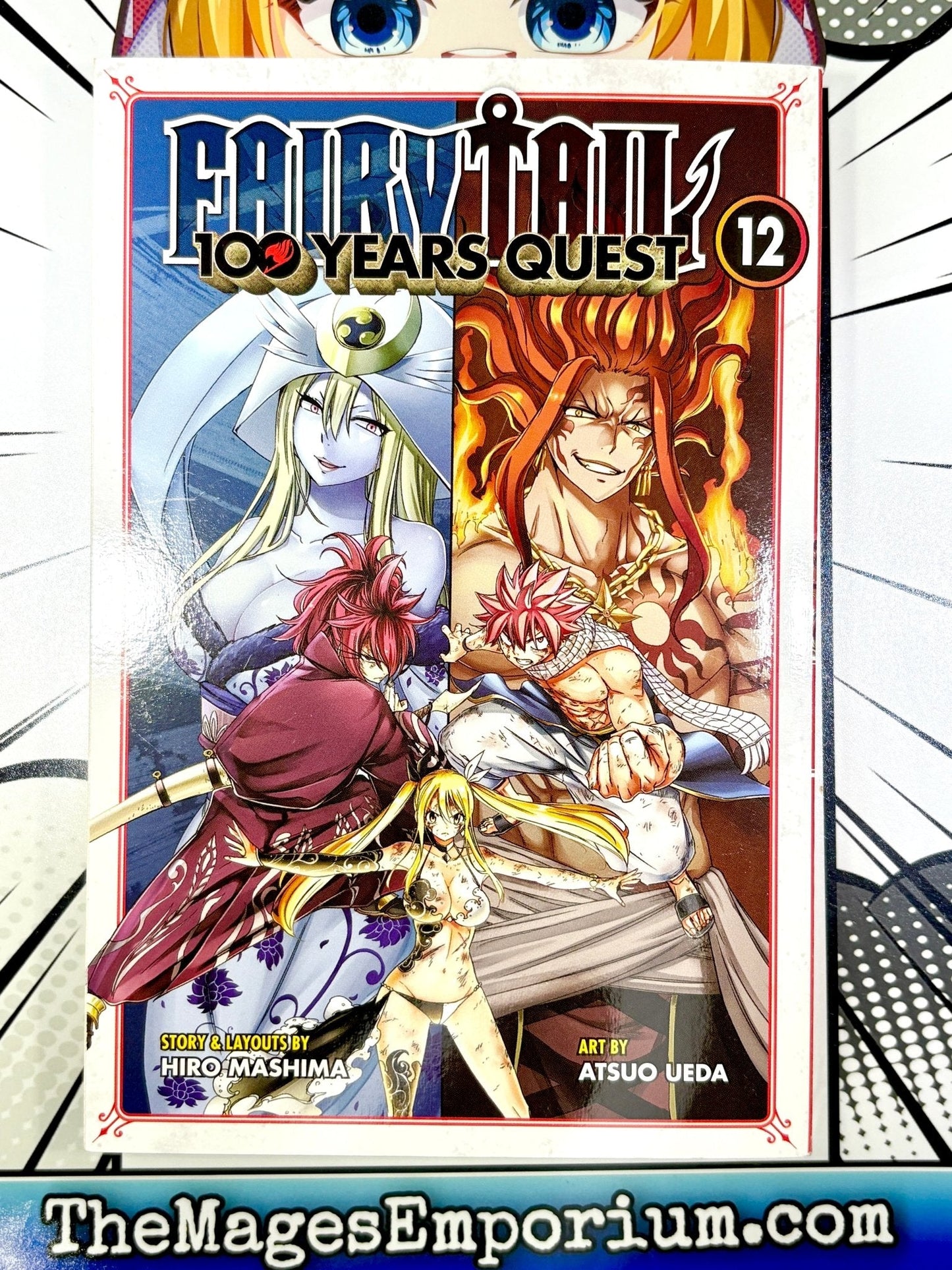 Fairy Tail 100 Years Quest Vol 12