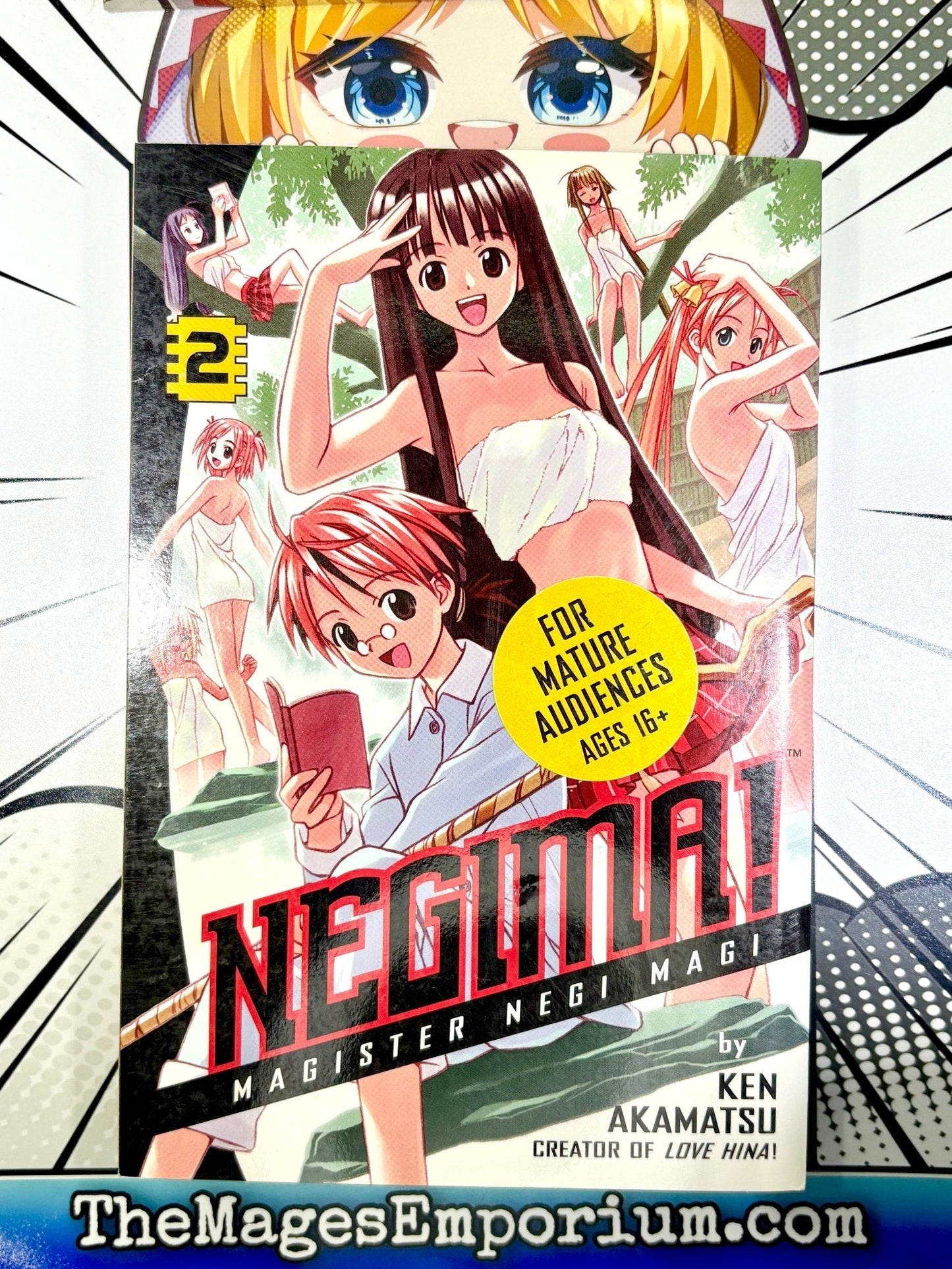 Negima! Magister Negi Magi Vol 2